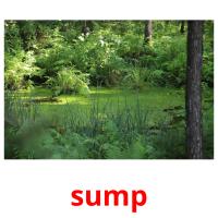 sump picture flashcards