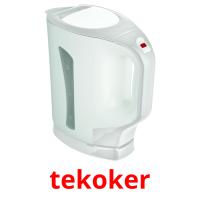 tekoker flashcards illustrate