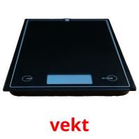 vekt picture flashcards