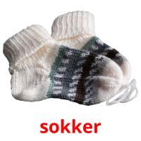 sokker Tarjetas didacticas