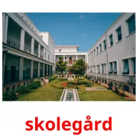 skolegård cartões com imagens