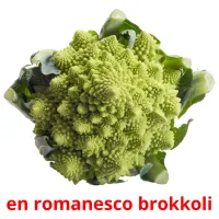 en romanesco brokkoli cartões com imagens