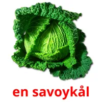 en savoykål cartões com imagens