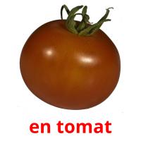 en tomat flashcards illustrate