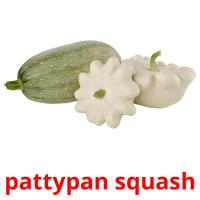 pattypan squash flashcards illustrate