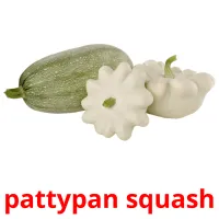 pattypan squash cartões com imagens