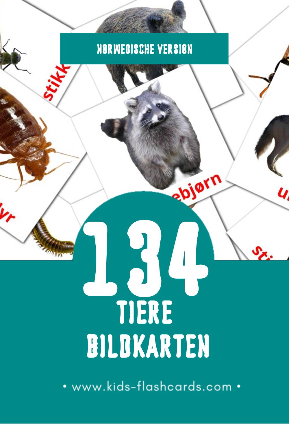 Visual Dyr Flashcards für Kleinkinder (134 Karten in Norwegisch)