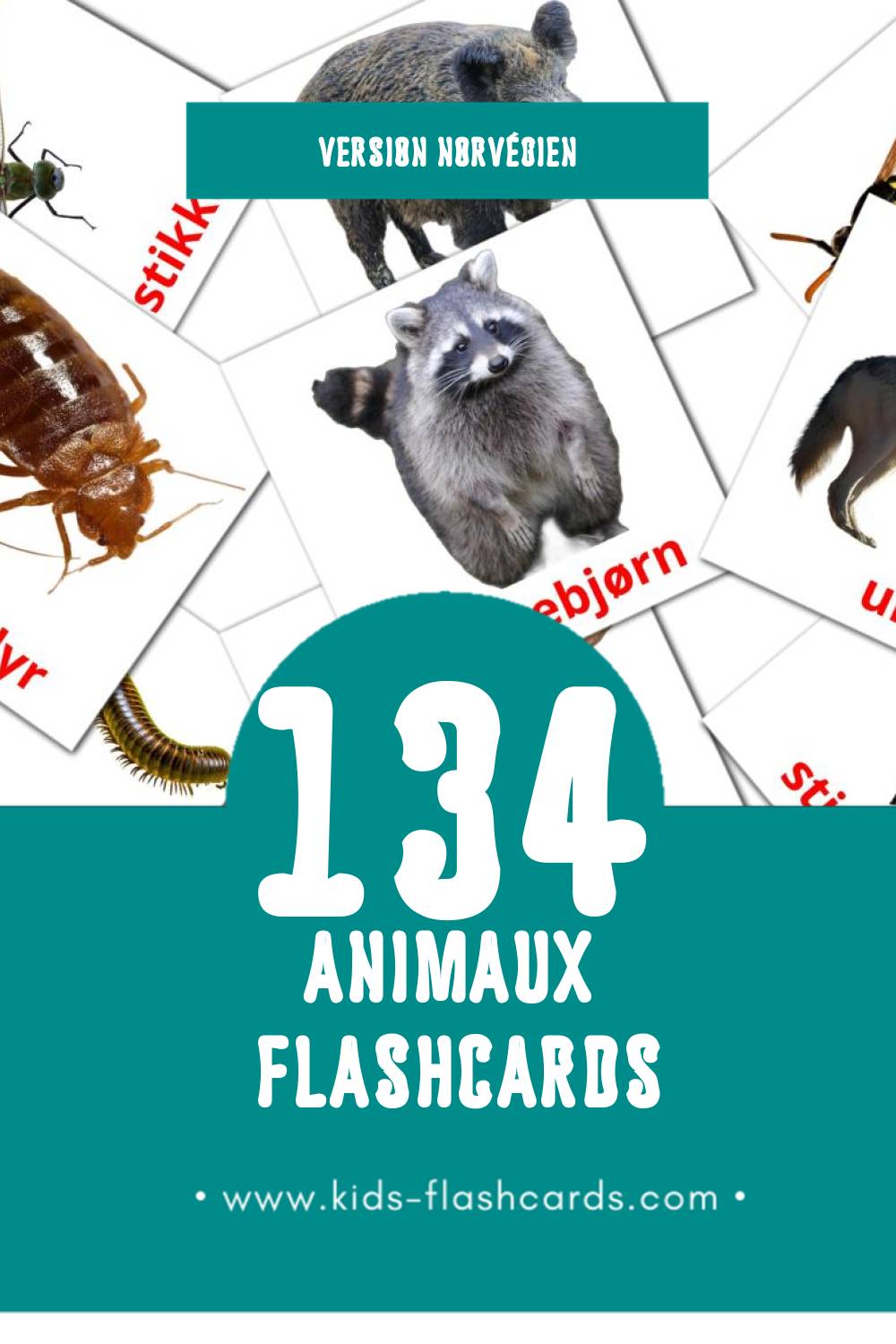 Flashcards Visual dyr pour les tout-petits (134 cartes en Norvégien)