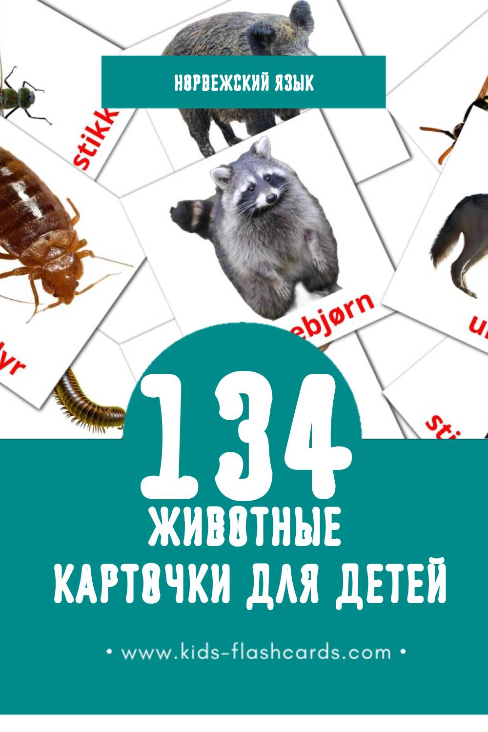 "dyr" - Визуальный Норвежском Словарь для Малышей (134 картинок)