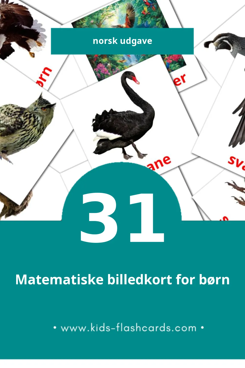 Visuelle billedkort for børn om Fugler til småbørn (31 kort på Norsk)