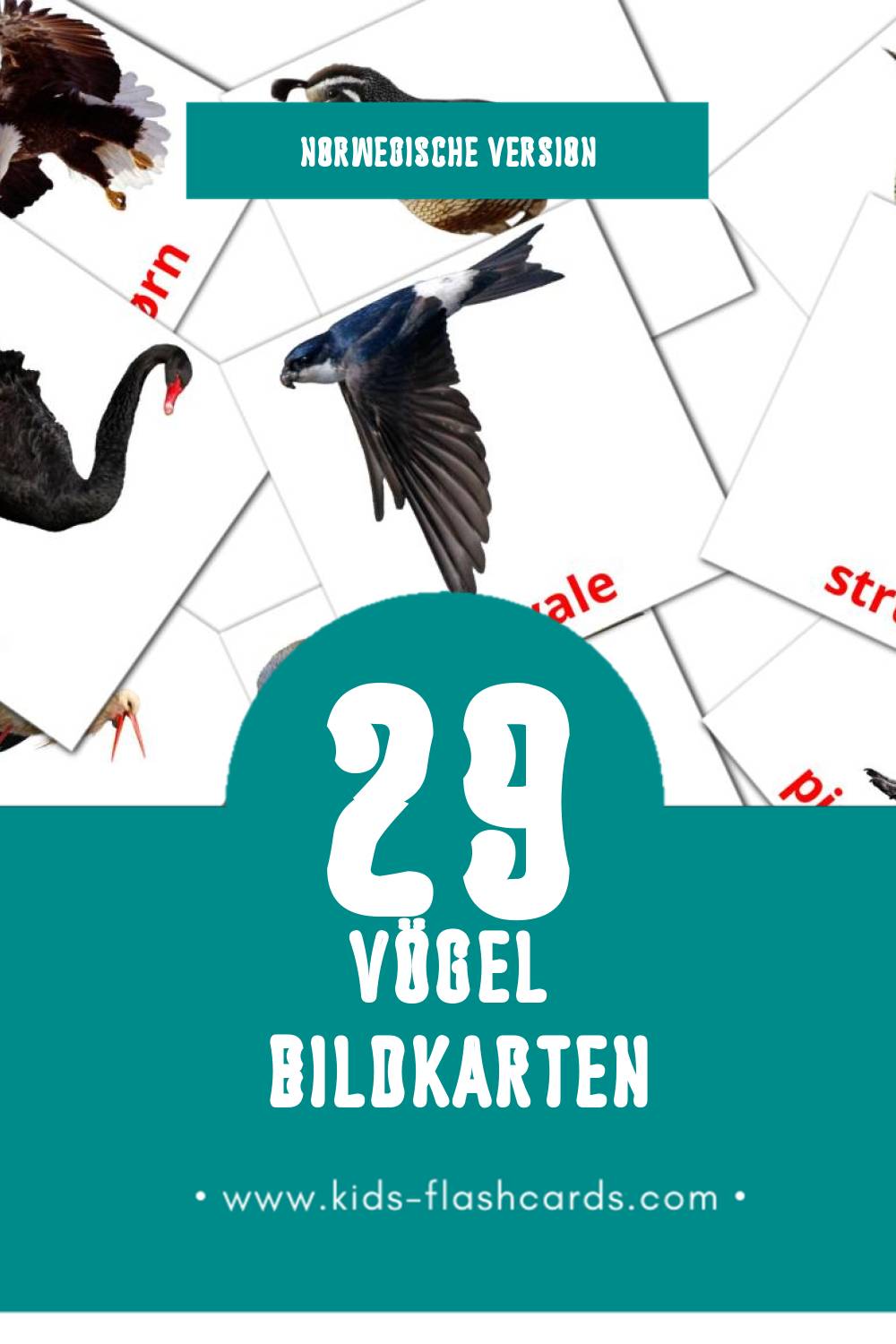 Visual Fugler Flashcards für Kleinkinder (29 Karten in Norwegisch)