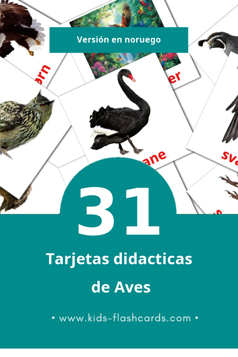 Tarjetas visuales de Fugler para niños pequeños (31 tarjetas en Noruego)