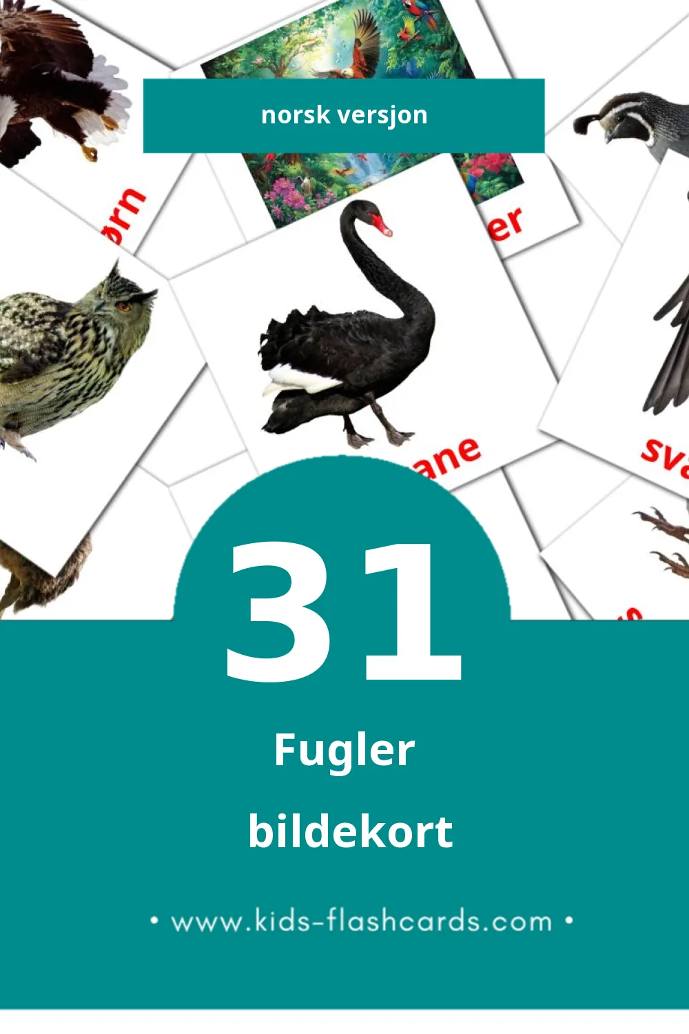 Visuelle Fugler bildekort for småbarn (31 kort på Norsk)