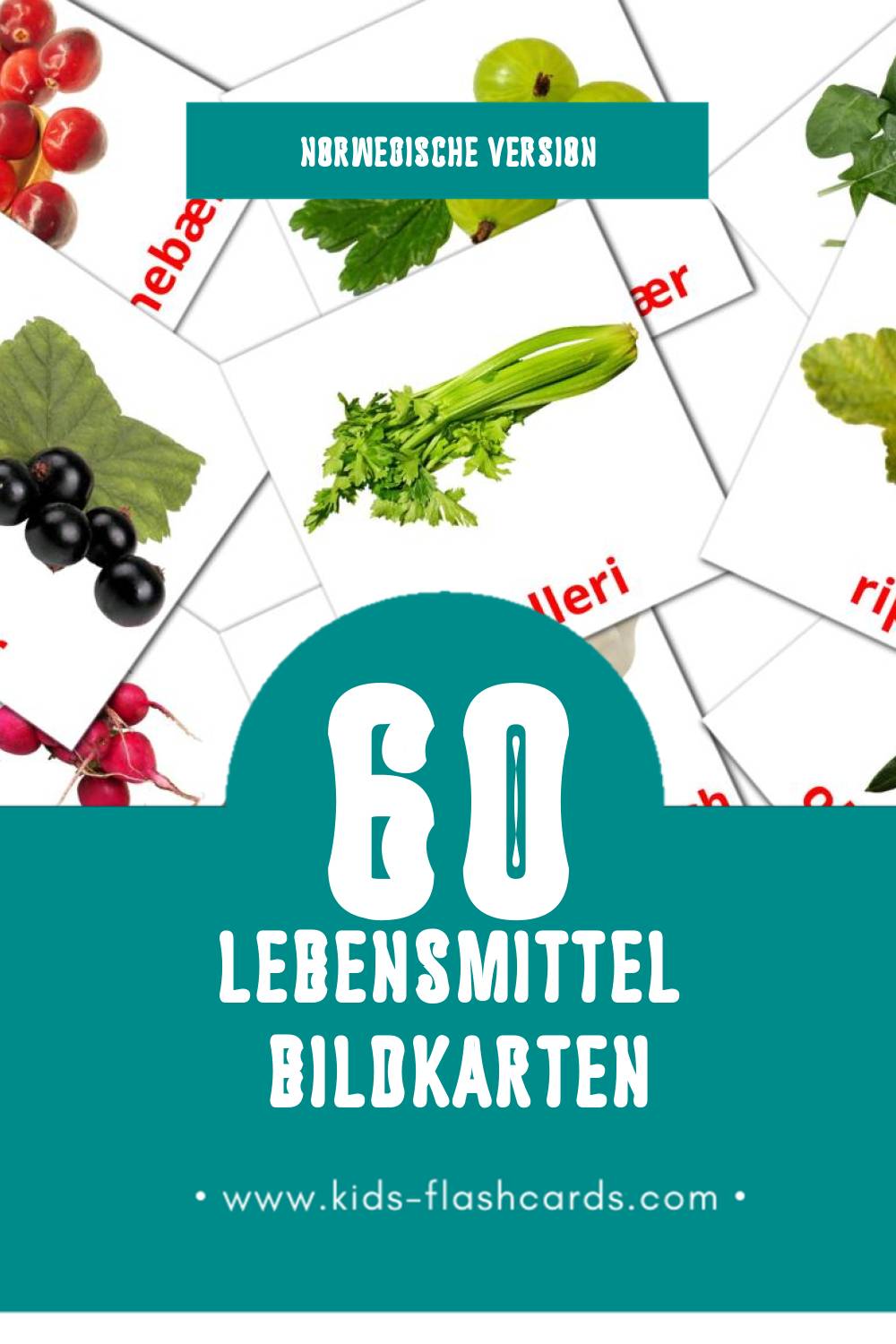 Visual Mat Flashcards für Kleinkinder (60 Karten in Norwegisch)