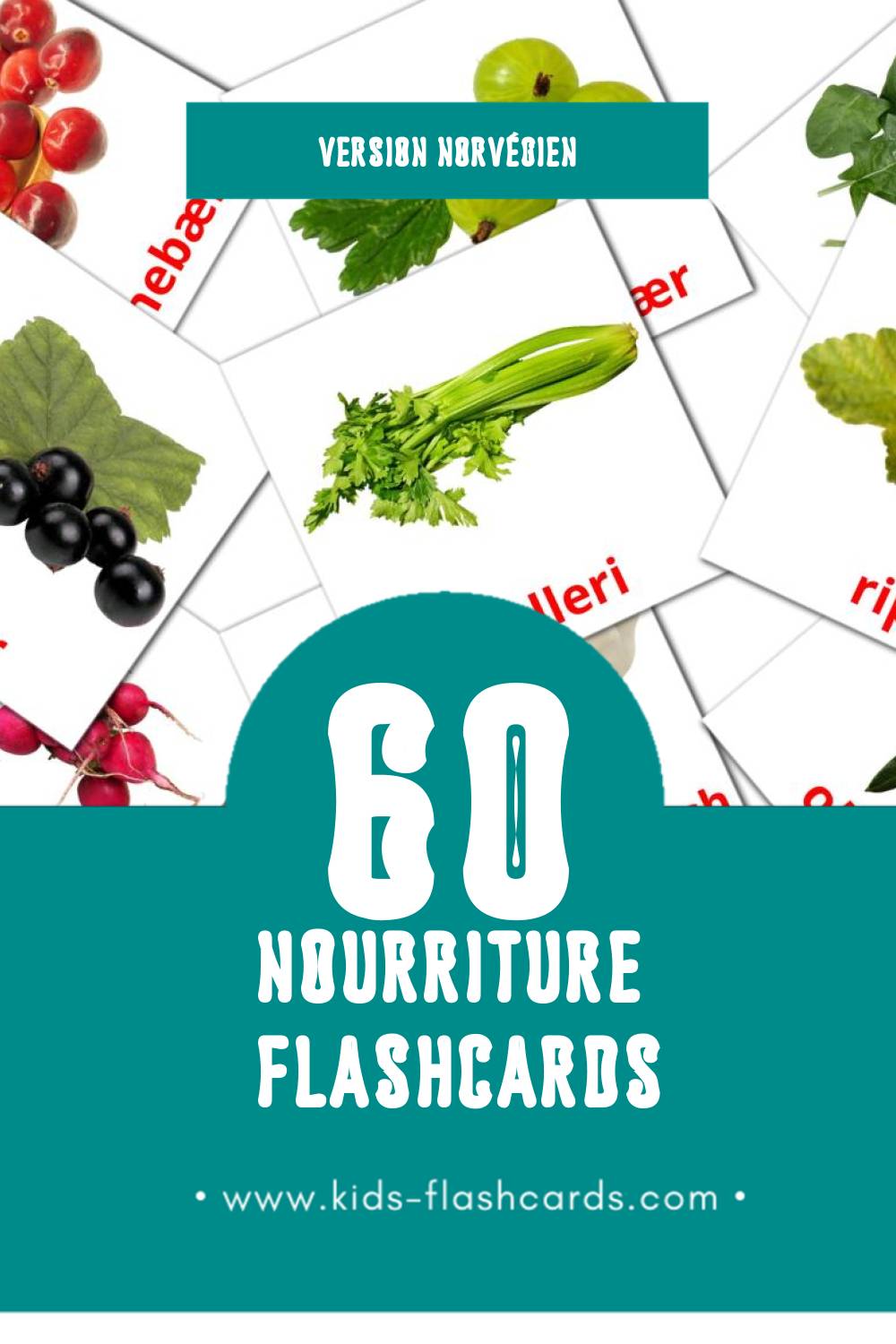 Flashcards Visual Mat pour les tout-petits (60 cartes en Norvégien)