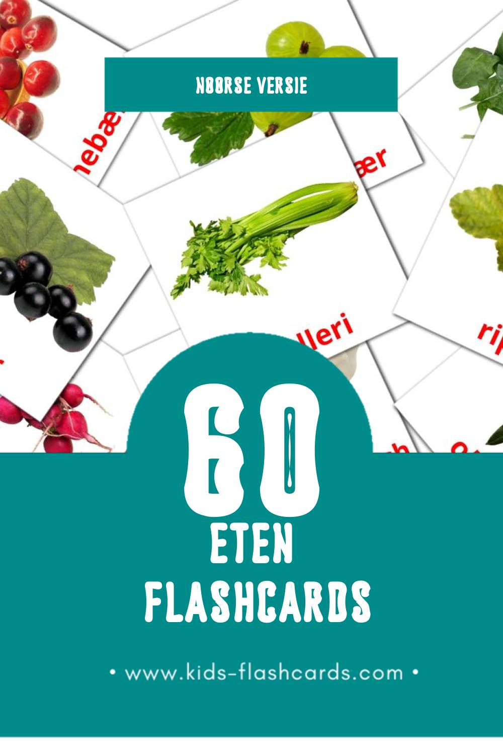 Visuele Mat Flashcards voor Kleuters (60 kaarten in het Noors)