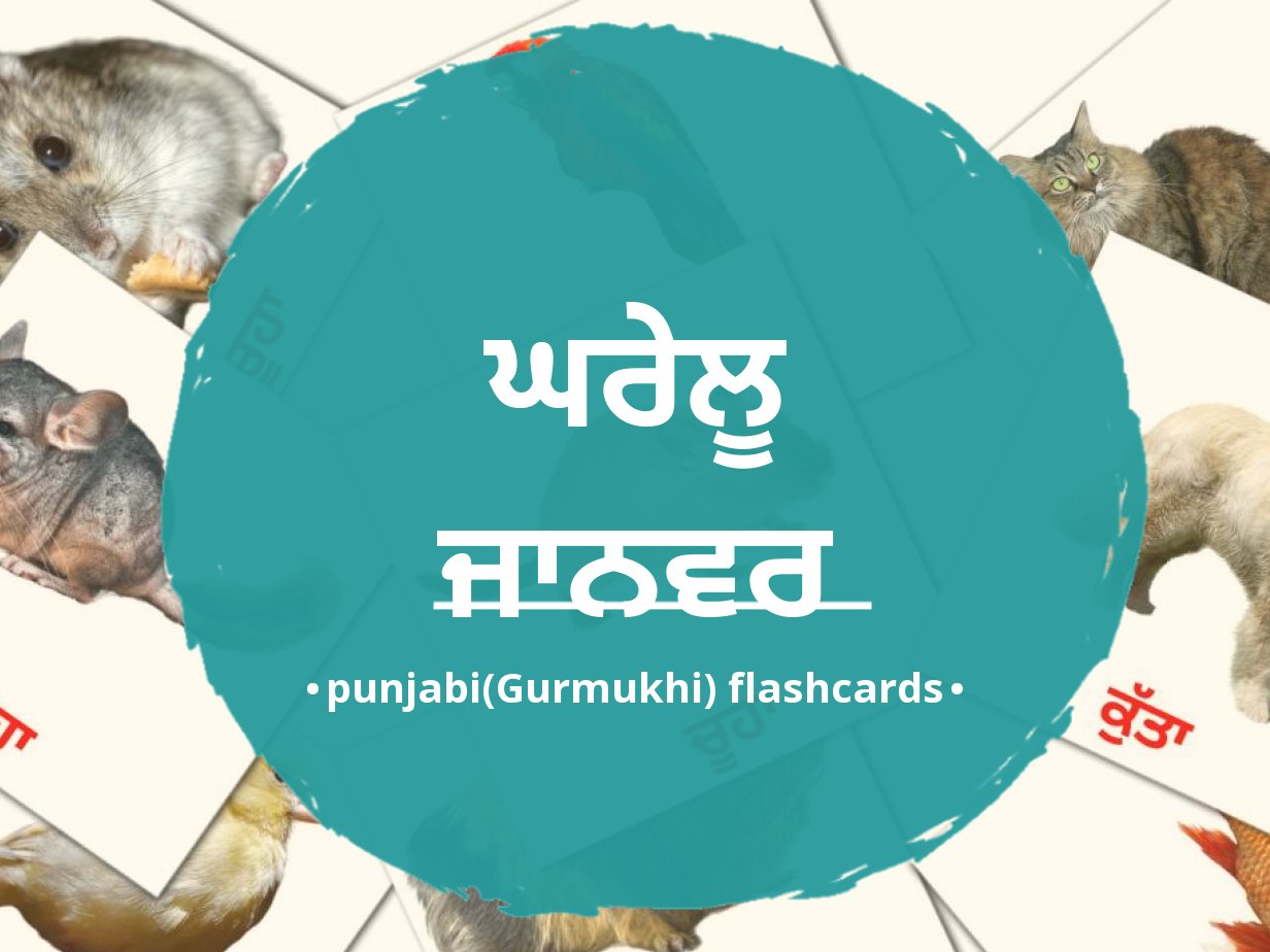 10 FREE Domestic animals Flashcards PDF Punjabi(Gurmukhi) Words