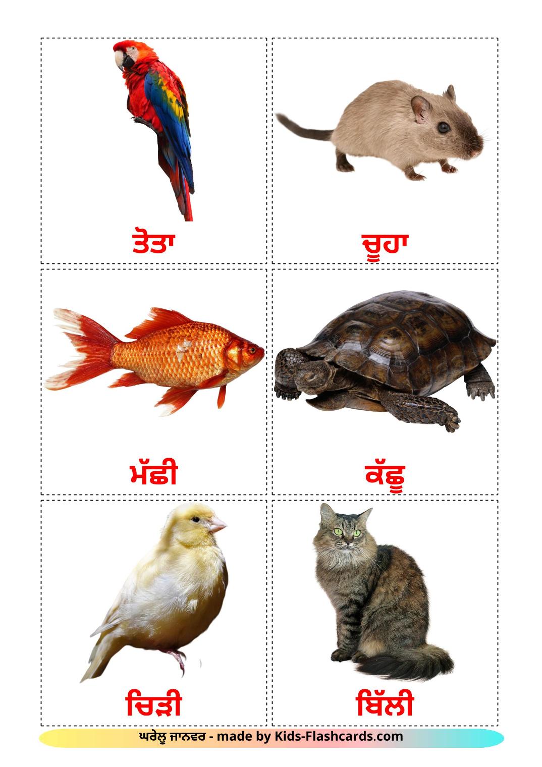 Domestic animals - 10 Free Printable punjabi(Gurmukhi) Flashcards 