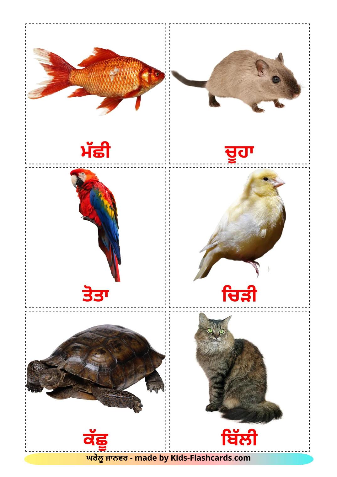 Domestic animals - 11 Free Printable punjabi(Gurmukhi) Flashcards 