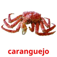 caranguejo Bildkarten für Kinder