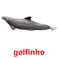 golfinho Bildkarten für Kinder