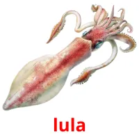 lula Bildkarten für Kinder