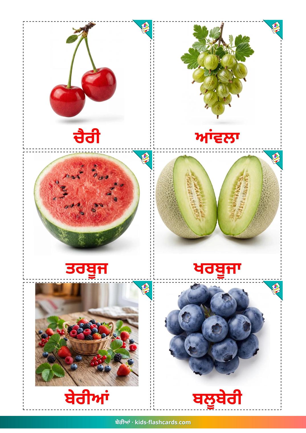 Bær - punjabi(gurmukhi) gratis punjabi(gurmukhi) billedkort for børn til udskrivning