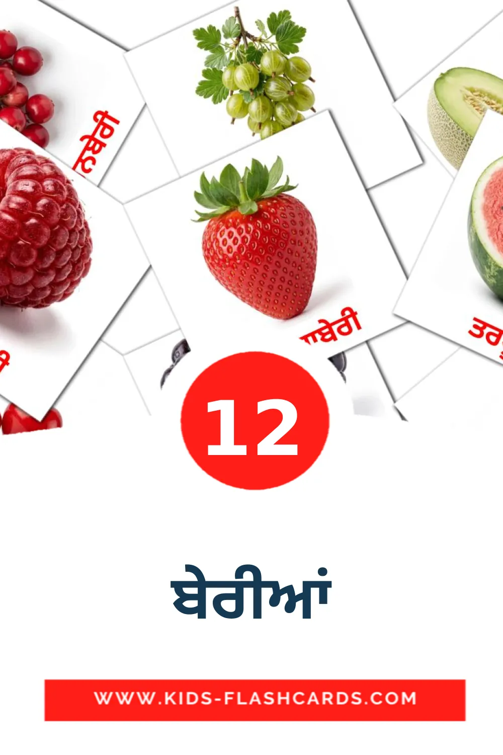 12 billedkort for børn med ਬੇਰੀਆਂ til børnehaveklassen på punjabi(gurmukhi)