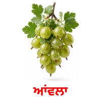 ਆਂਵਲਾ billedkort for børn med billeder