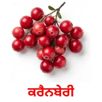 ਕਰੈਨਬੇਰੀ billedkort for børn med billeder