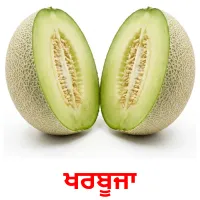 ਖਰਬੂਜਾ billedkort for børn med billeder