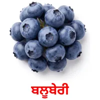 ਬਲੂਬੇਰੀ billedkort for børn med billeder
