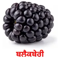 ਬਲੈਕਬੇਰੀ billedkort for børn med billeder