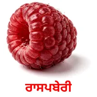 ਰਾਸਪਬੇਰੀ billedkort for børn med billeder