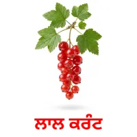 ਲਾਲ ਕਰੰਟ billedkort for børn med billeder