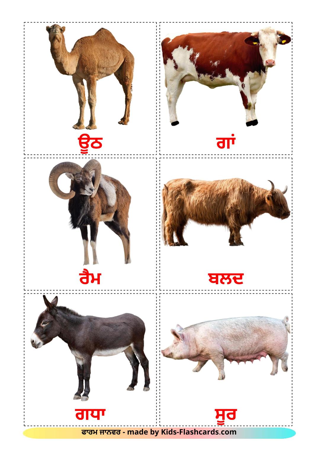 Farm animals - 15 Free Printable punjabi(Gurmukhi) Flashcards 