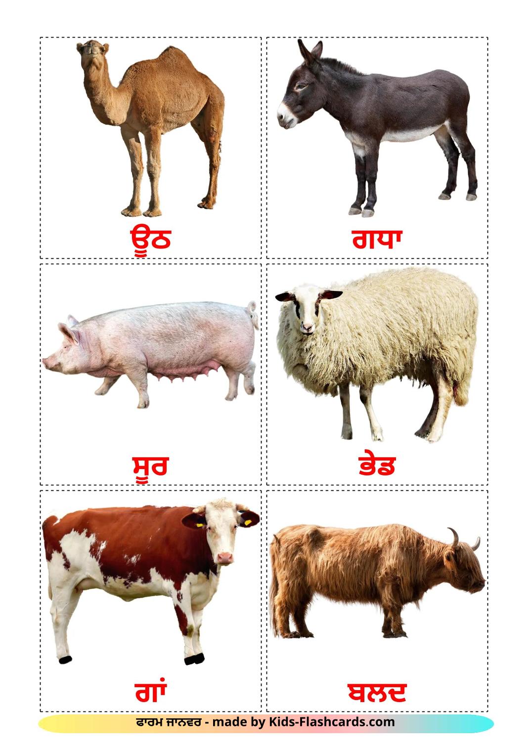 Farm animals - 16 Free Printable punjabi(Gurmukhi) Flashcards 