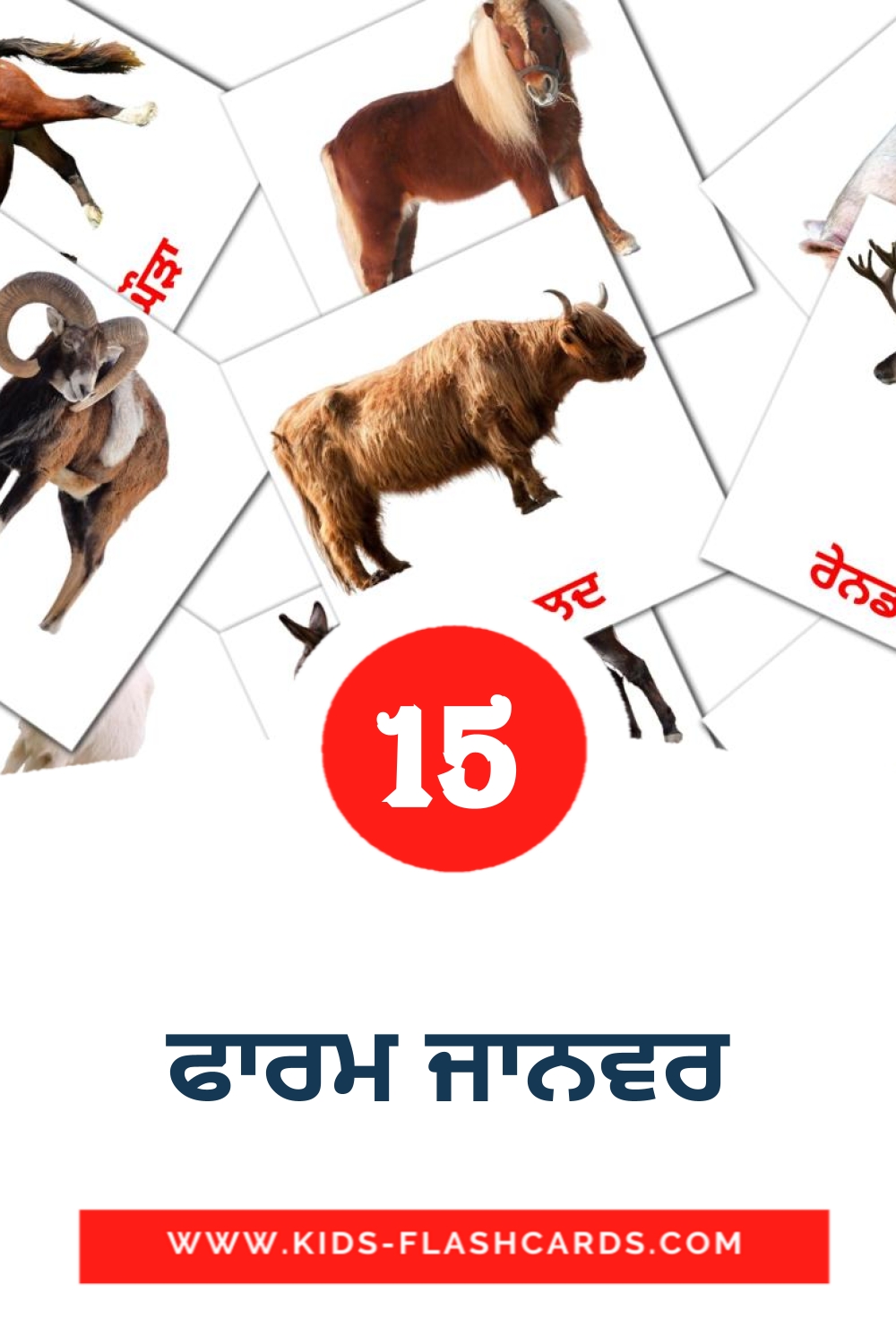 15 ਫਾਰਮ ਜਾਨਵਰ Picture Cards for Kindergarden in punjabi(Gurmukhi)