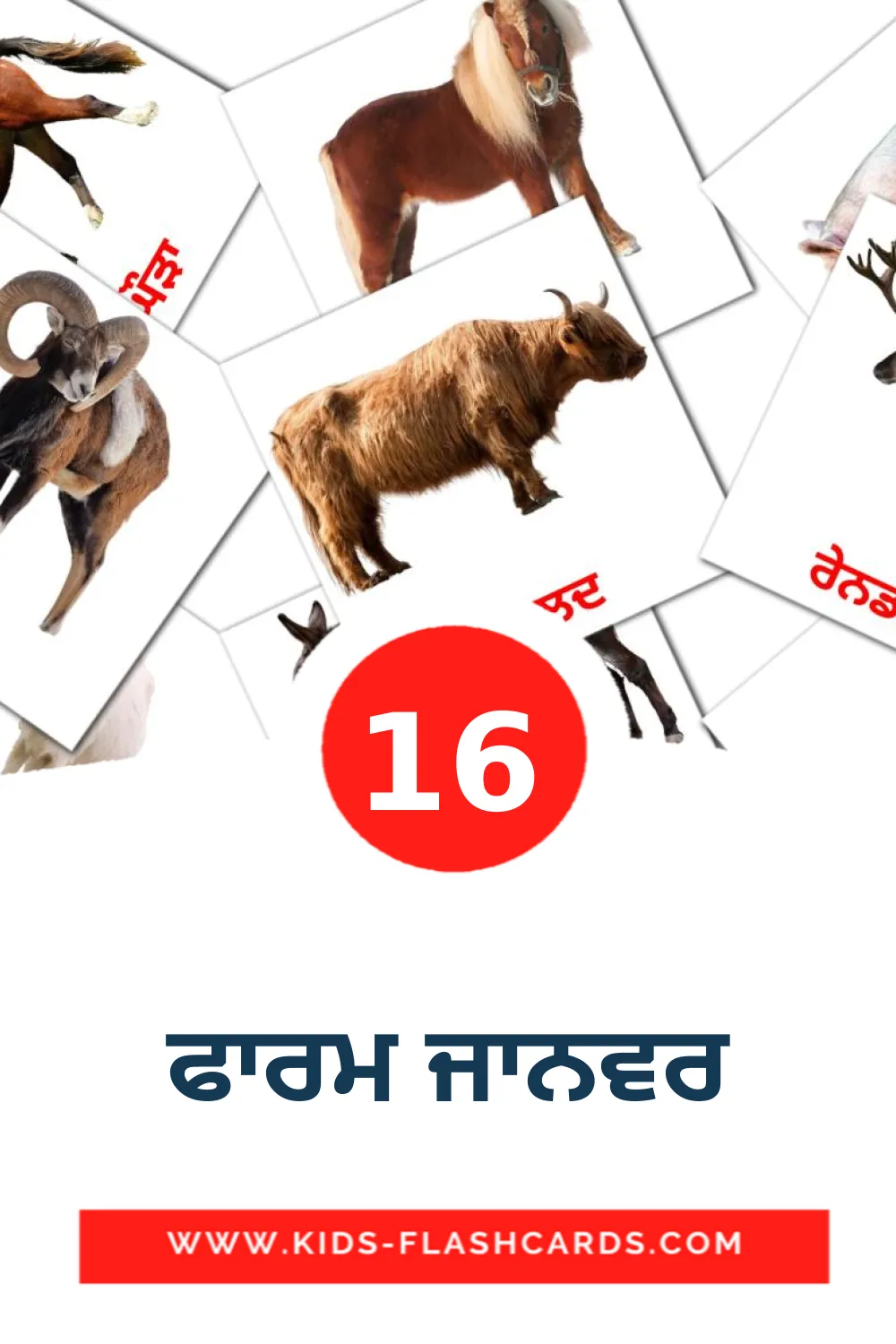 16 ਫਾਰਮ ਜਾਨਵਰ Picture Cards for Kindergarden in punjabi(Gurmukhi)