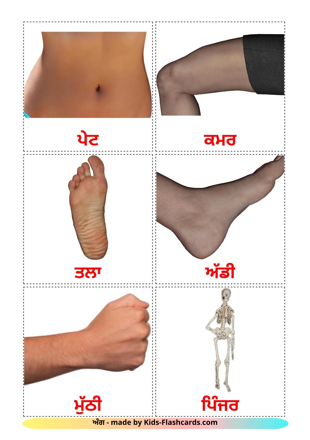 Body Parts - 19 Free Printable казахском(латиница) Flashcards