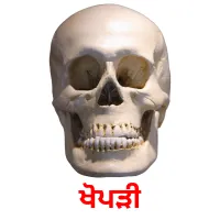 ਖੋਪੜੀ bildekort