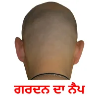 ਗਰਦਨ ਦਾ ਨੈਪ bildekort