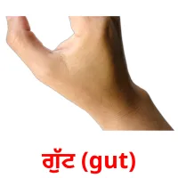 ਗੁੱਟ (gut) bildekort
