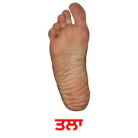 ਤਲਾ bildekort