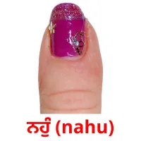 ਨਹੁੰ (nahu) bildekort