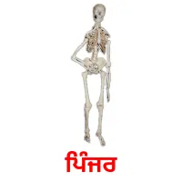 ਪਿੰਜਰ bildekort