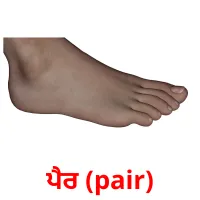 ਪੈਰ (pair) bildekort