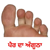 ਪੈਰ ਦਾ ਅੰਗੂਠਾ bildekort