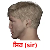 ਸਿਰ (sir) bildekort