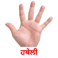 ਹਥੇਲੀ bildekort